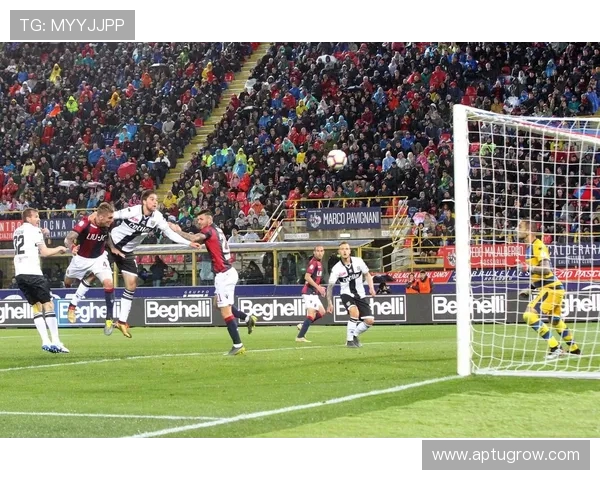 帕尔马对阵博洛尼亚铃木彩艳佩莱格里诺首发奥尔索利尼乔纳森罗领衔出战 帕尔马对阵博洛尼亚铃木彩艳佩莱格里诺首发奥尔索利尼乔纳森罗领衔出战